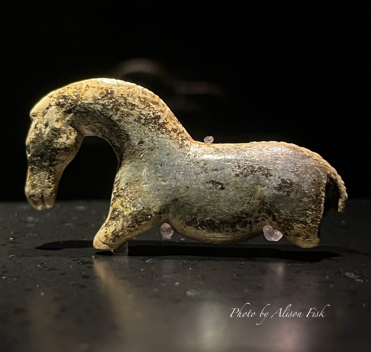 Something ancient and wonderful for the weekend! 🤩

The world’s oldest known sculpture of a horse!

This tiny figurine was carved from mammoth ivory by an Ice Age artist some 40,000 years ago! 

📷 by me

#Archaeology