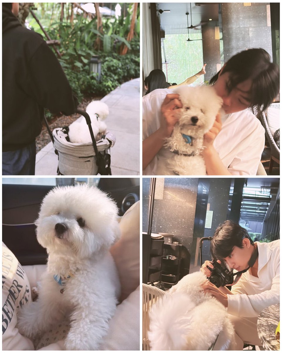 codekinn's tweet image. i’m so in love with this aesthetic 🤍🍃

#barcodetin #codekin
#kinthanachai #barcodekin