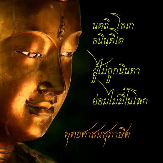 SapphoStirical's tweet image. 