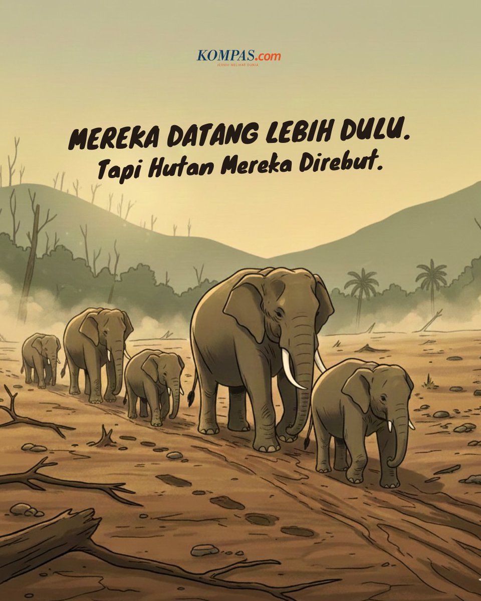 Desakan publik lewat #SaveTessoNilo menyoroti habitat Gajah Sumatera yang kian tertekan akibat alih fungsi lahan dan aktivitas ilegal. 

Di kawasan yang seharusnya menjadi rumah mereka, banyak area telah berubah menjadi kebun sawit sehingga ruang hidup gajah makin menyempit.