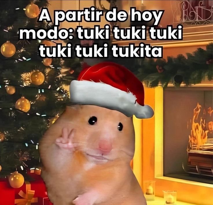 Carolin4Navarr0's tweet image. Estamos así 👌 de navidad!!!