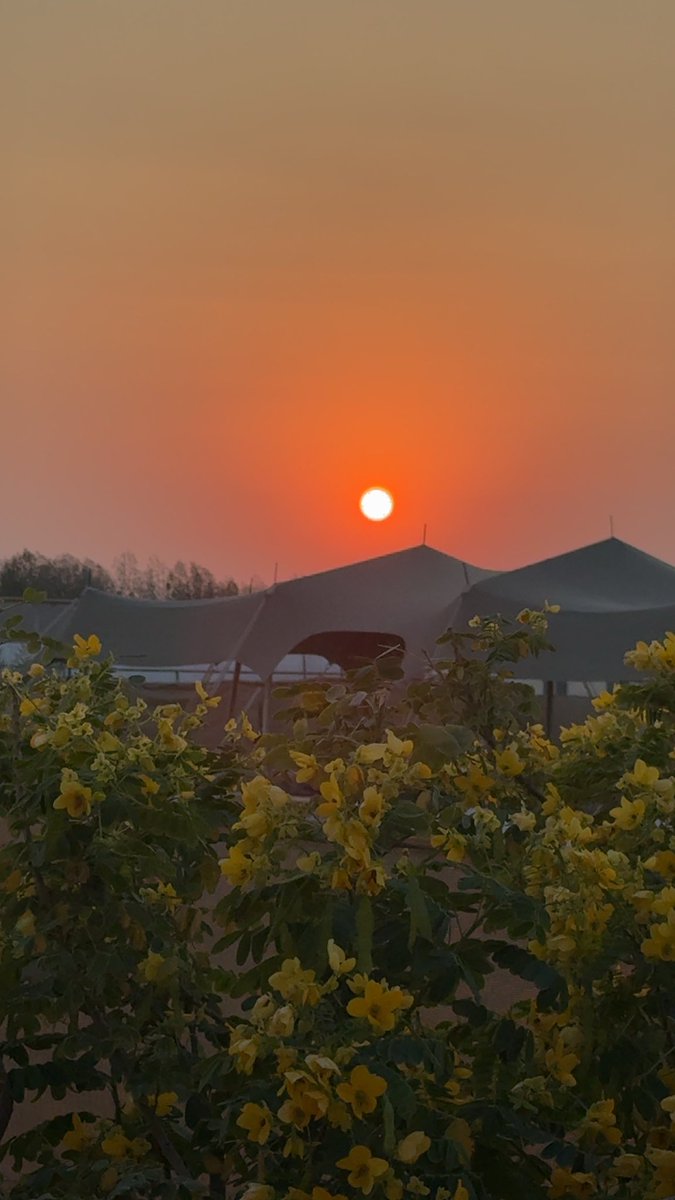 hudasm__'s tweet image. أما زُلنا في قلوبكم أم ازلنا ؟💜