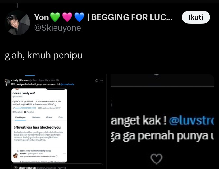 bi tweet media