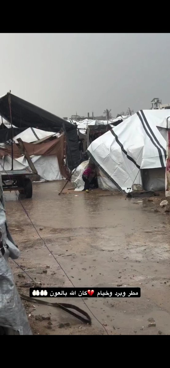 LoverHomeless's tweet photo. 🫂🙏My friends, you are so kind, your words and care for me yesterday truly touched my heart, and brought warmth to my soul when I feel like I am losing myself to grief and sadness.. From the bottom of my heart, thank you. I hope that you will help me to build our shelter as soon as possible, so that we can protect the poor vulnerable animals from the difficult weather conditions and danger on the streets that leaves them at risk. I can barely recognise my surroundings when I walk around our neighbourhood, rubble and debris as far as you can see, and people struggling to rebuild their lives from what little they have. Unfortunately donations are still weak, I am left powerless to do anything, neither for my cat shelter or for the poor people in tents. Our current donations are barely supporting the families we send financial aid to, and I worry about them should we run out of funds. The families in the camp have barely recovered from the last storm that hit them, and I'm worried about the upcoming days of weather. We must be able to support them, my friends, I ask you to help them and us. You are the strength in my heart that reminds me that 🇵🇸🌿#Gaza is not alone against the miserable odds against us.. 🫂

Building the Cat Shelter + My Family's & Cat Funds
🐾🐈🥺🫂https://t.co/2GC5exChC8 

Our Cruelty Free Kitchen 
🫂🙏🇵🇸https://t.co/fIVCEUy1Da