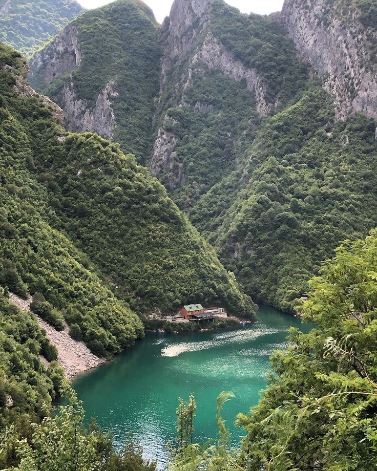 Wa-Bush (@bondzabby) on Twitter photo 