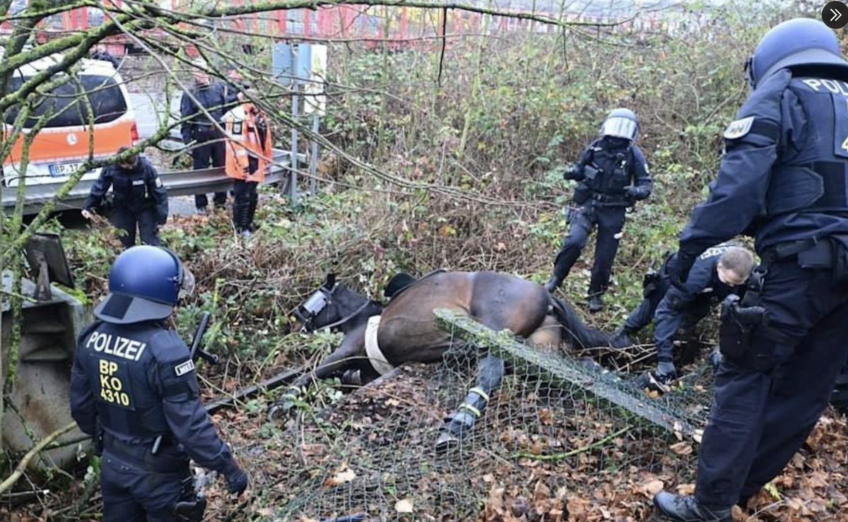 Die Szenen aus #Gießen lassen mich sprachlos zurück. Was für ein Wahnsinn. Das soll Demokratie sein? Eine Schande ist das!

Zu diesen Taten hat auch die LINKE im Bundestag aufgerufen. Vielleicht sollte man hier über ein Verbotsverfahren reden.

Und das hier, bricht mir das Herz: