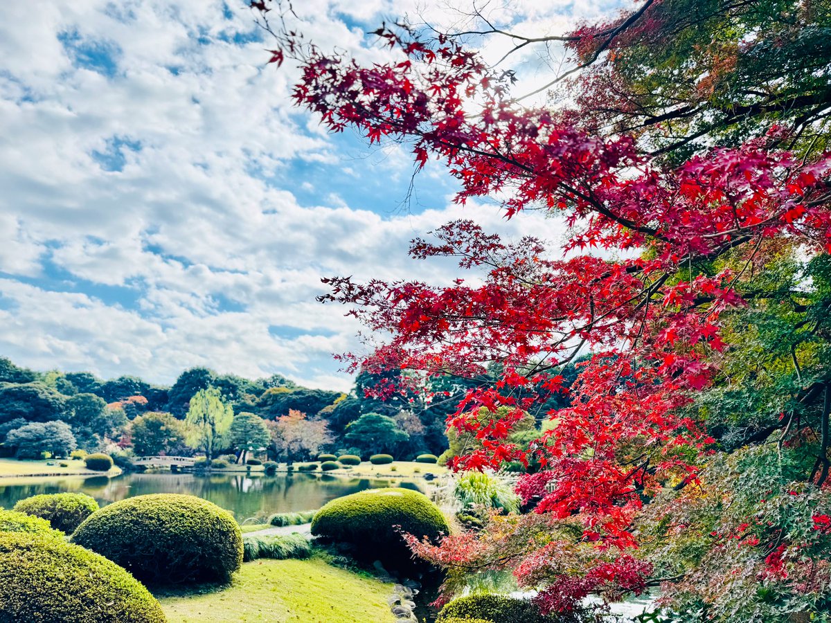 sn_yusuke's tweet photo. 24歳になりました🥳 https://t.co/I5gmHfjbaf