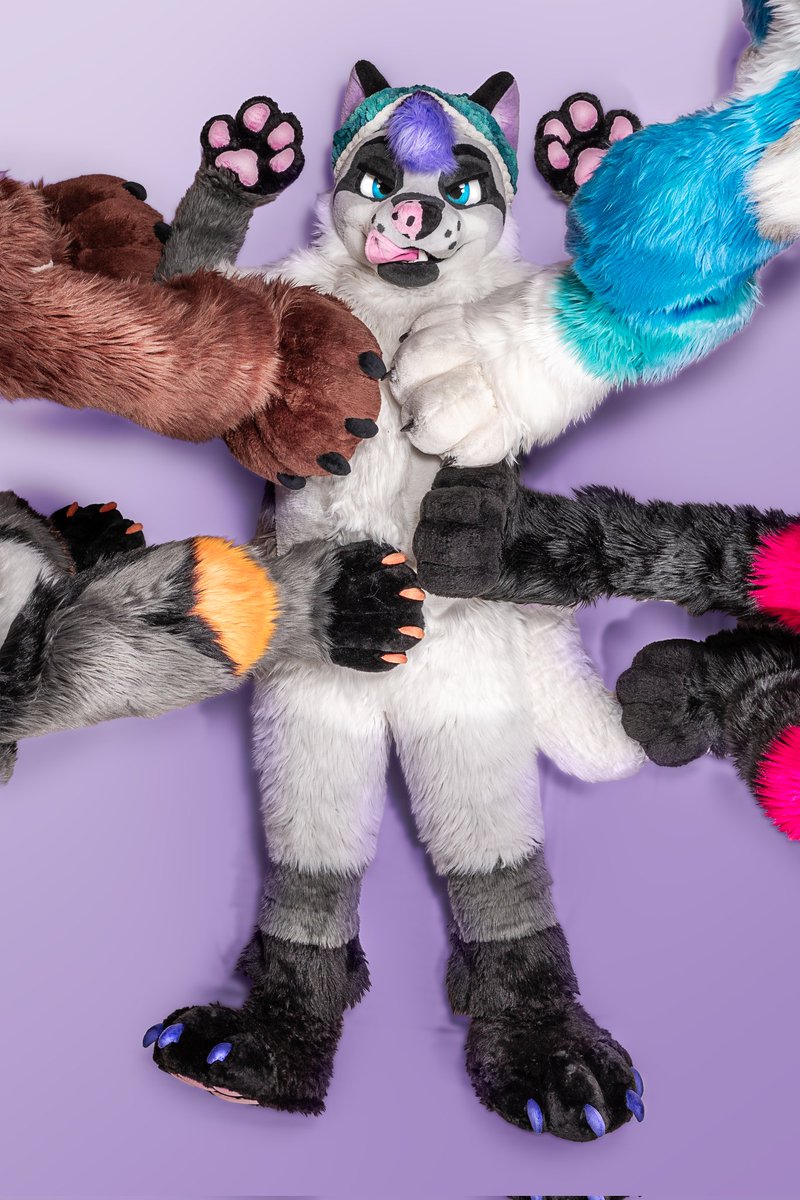 ChaChaFox - WhatChaLookingAt ? 🔜NFC,Faun,Furizon tweet media