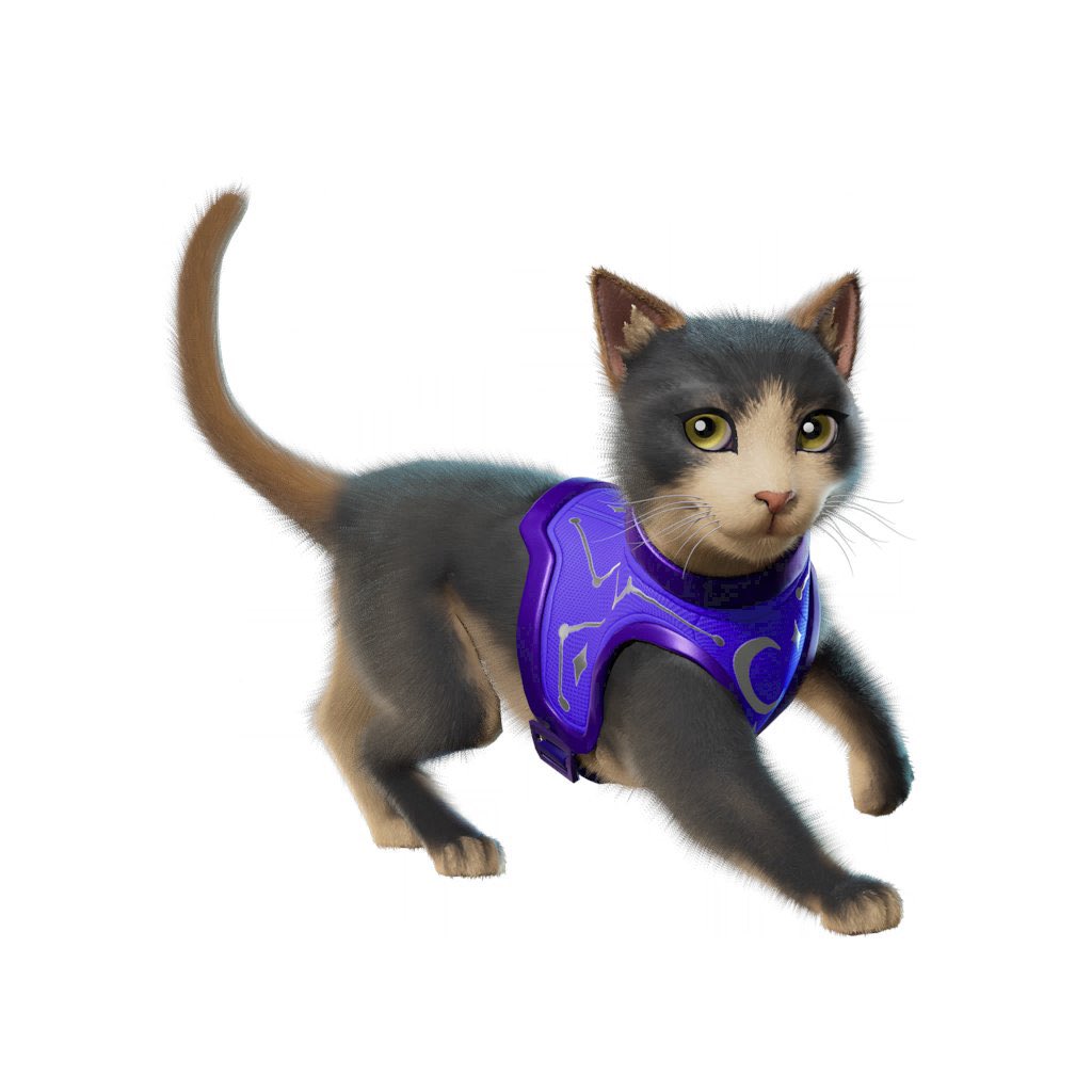 NEUER CHAPTER 7 KATZEN BEGLEITER! 🥰