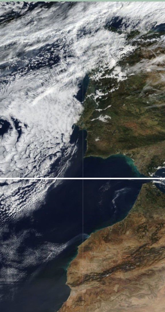 Ea7Kgo's tweet image. 