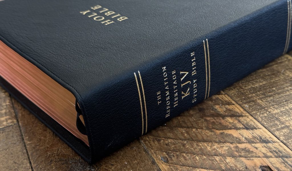 PuritanGold's tweet image. Delight in God’s Word leads a person into a lifestyle contrary to the world, provoking its insult and opposition.

—Reformation Heritage KJV Study Bible, On Psalm 119:161, Pg. 862