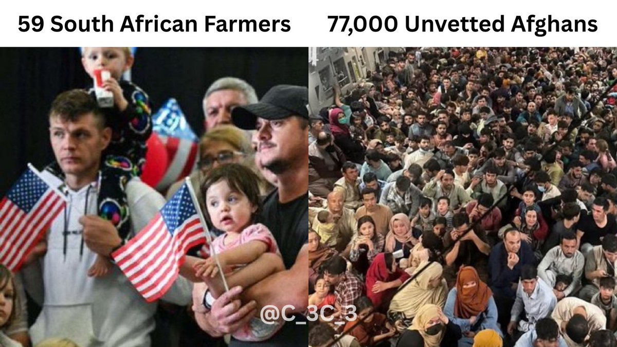 C_3C_3's tweet image. Which ones did the Democrats try to stop from entering America?

Wonder why…