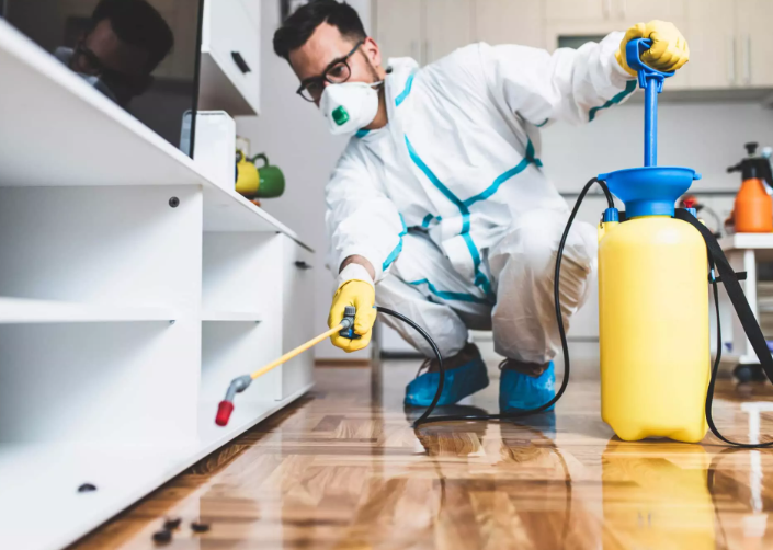 safepestqld's tweet image. ✨ A pest-free home isn’t just cleaner — it’s healthier &amp;amp; happier. Call us today for affordable pest control services. 🏡💚
 #HappyHome #PestControlExperts #HealthyLiving