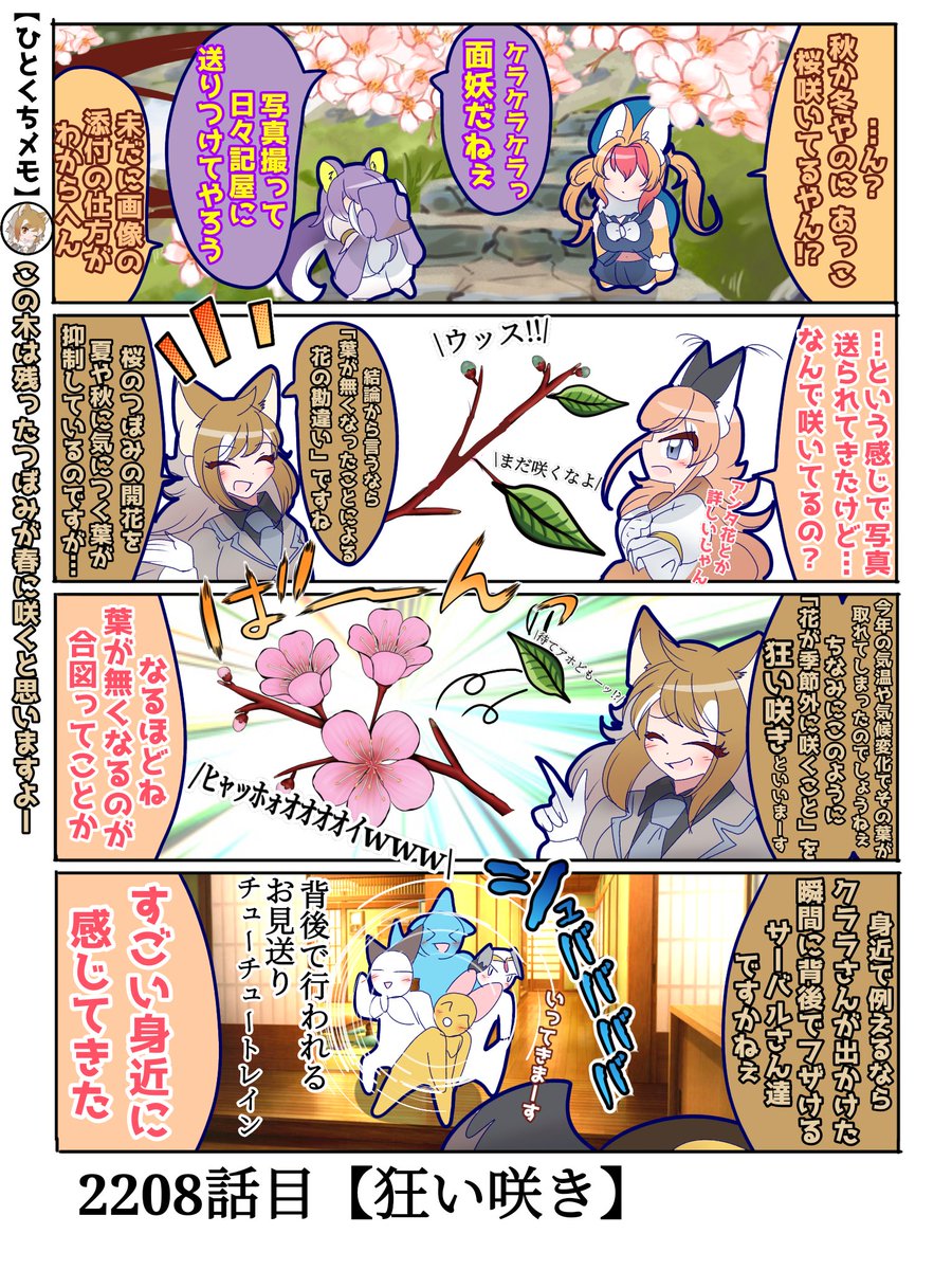 2208話目【狂い咲き】
ずっと「狂い咲き」と「咲き乱れ」を混同視してた
#けものフレンズ #日記四コマ 