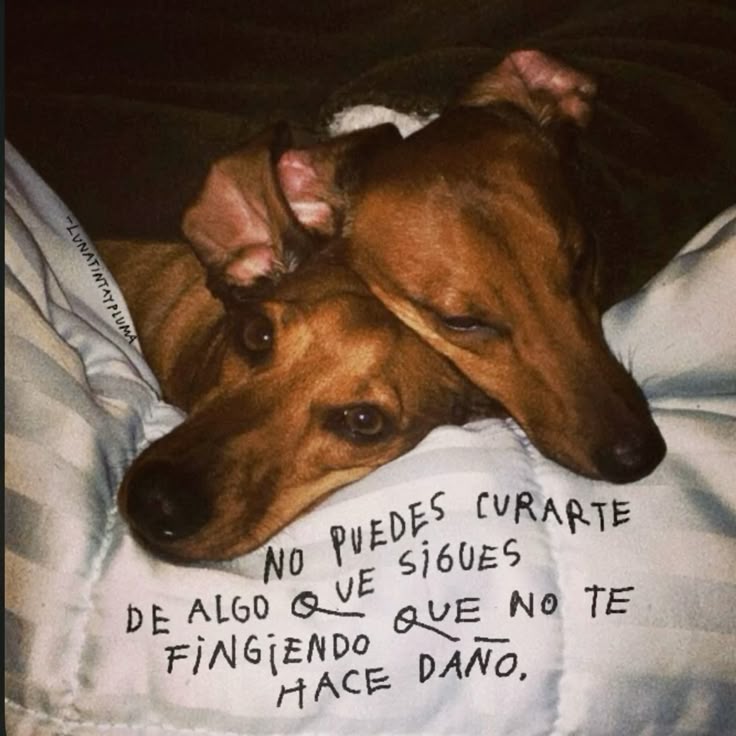 Escrito Ideal (@escrito_ideal) on Twitter photo 