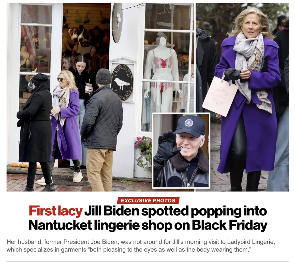 It would need to be a “blacked out” Friday for me to see Jill Biden in lingerie.