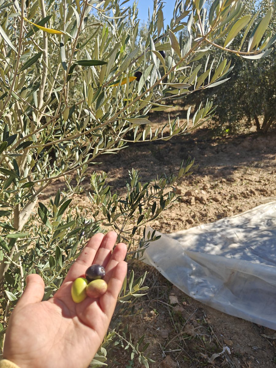 That moment of the year ♻️