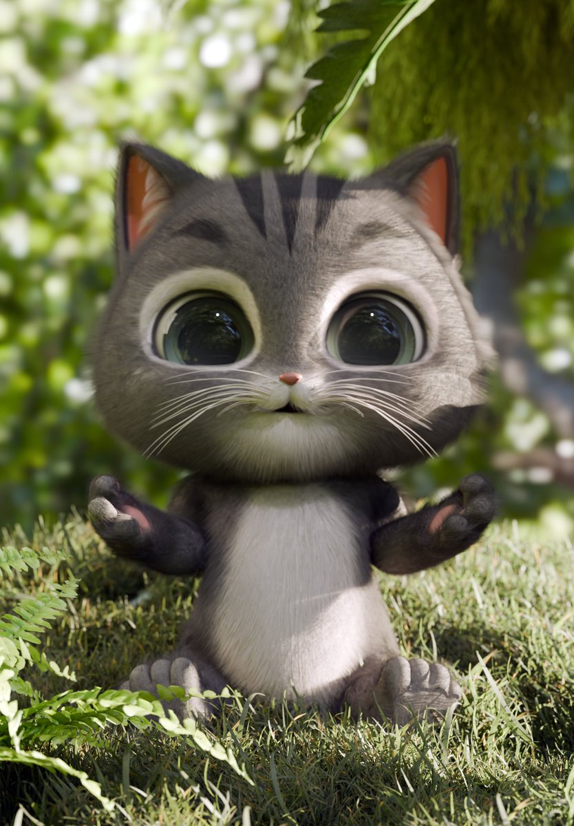 Happy Caturday!

Let's paws and reflect 🐾