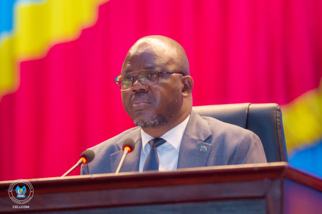 jc_tshilumbayi's tweet image. 28-11-25 I 346 Députés nationaux ont voté lors de la plénière de ce jour, le rapport de la Commission ECOFIN-CB relatif au projet de loi sur la reddition des comptes exercice 2024 avec un taux d&apos;exécution de recettes de 79,97% et de 80,78% pour les dépenses. #JCTshilumbayi #RDC