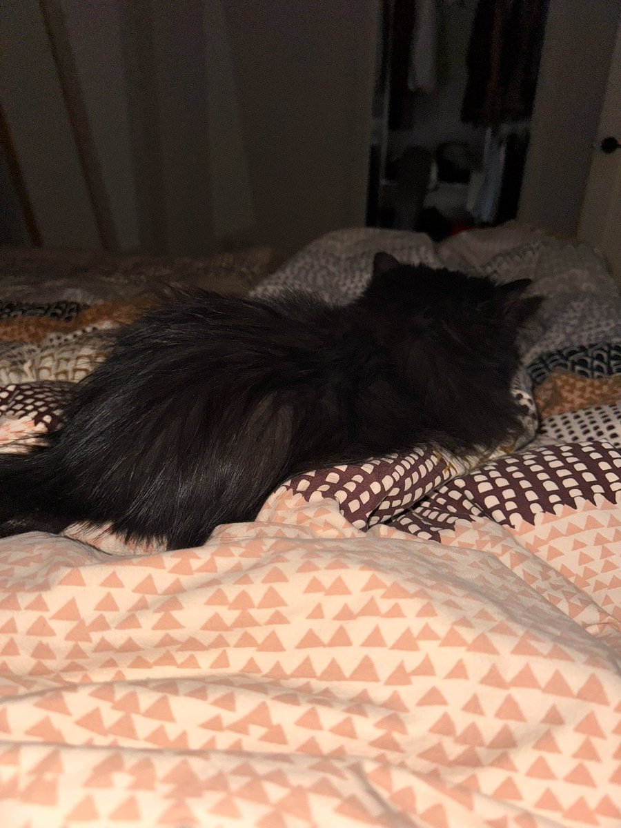 Aquí muy acomodadita