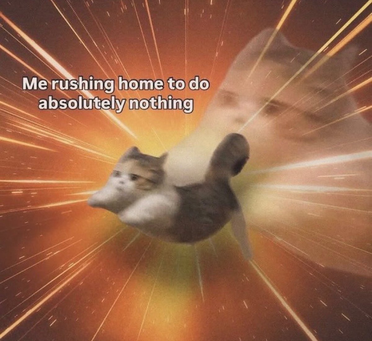 catshealdeprsn's tweet image. 