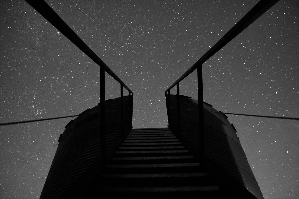 DigitalAmmonium's tweet image. 