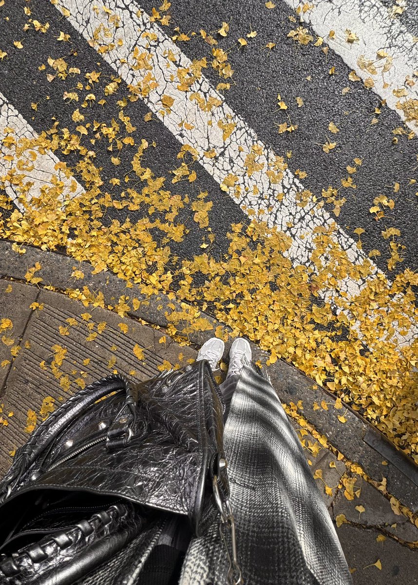 Doaa Alsaleh, MD, PhD, MSCR tweet media