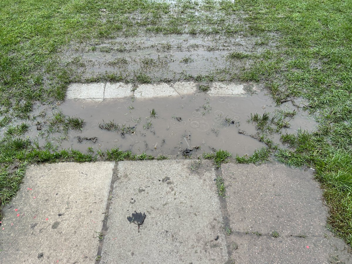 newpasture tweet media