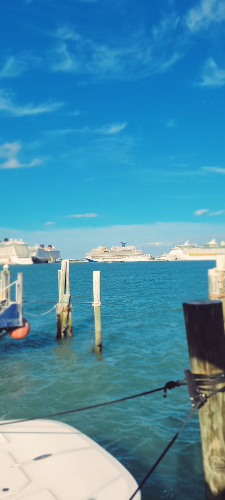 Rusty's Seafood & Oyster Bar tweet media