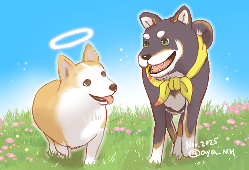 「#しばのドッグタグ しばさんのMy Little Puppy配信、ずっと犬さん達」|なみHEYのイラスト