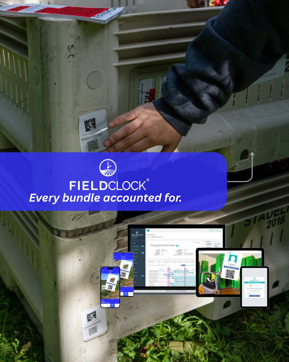 fieldclock's tweet image. Every bundle, every task, every paycheck connected and accounted for. Our employee portal keeps work and pay clear and effortless.  #Fieldclock #LaborManagement  #WorkSmart #EmployeeExperience
