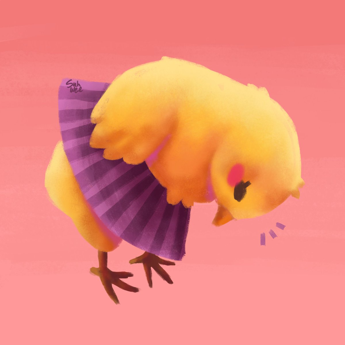 A little chick wearing a skirt ✨️💕