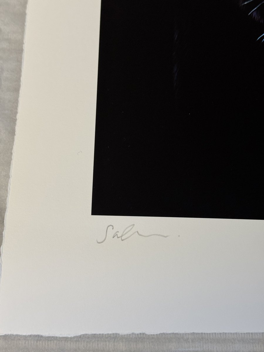 sophiegreenart's tweet image. I also have this one of a kind test proof print of my newest panther piece. 16x22”, £320. 

Please email enquiries@sophiegreenfineart.com if interested in purchasing.