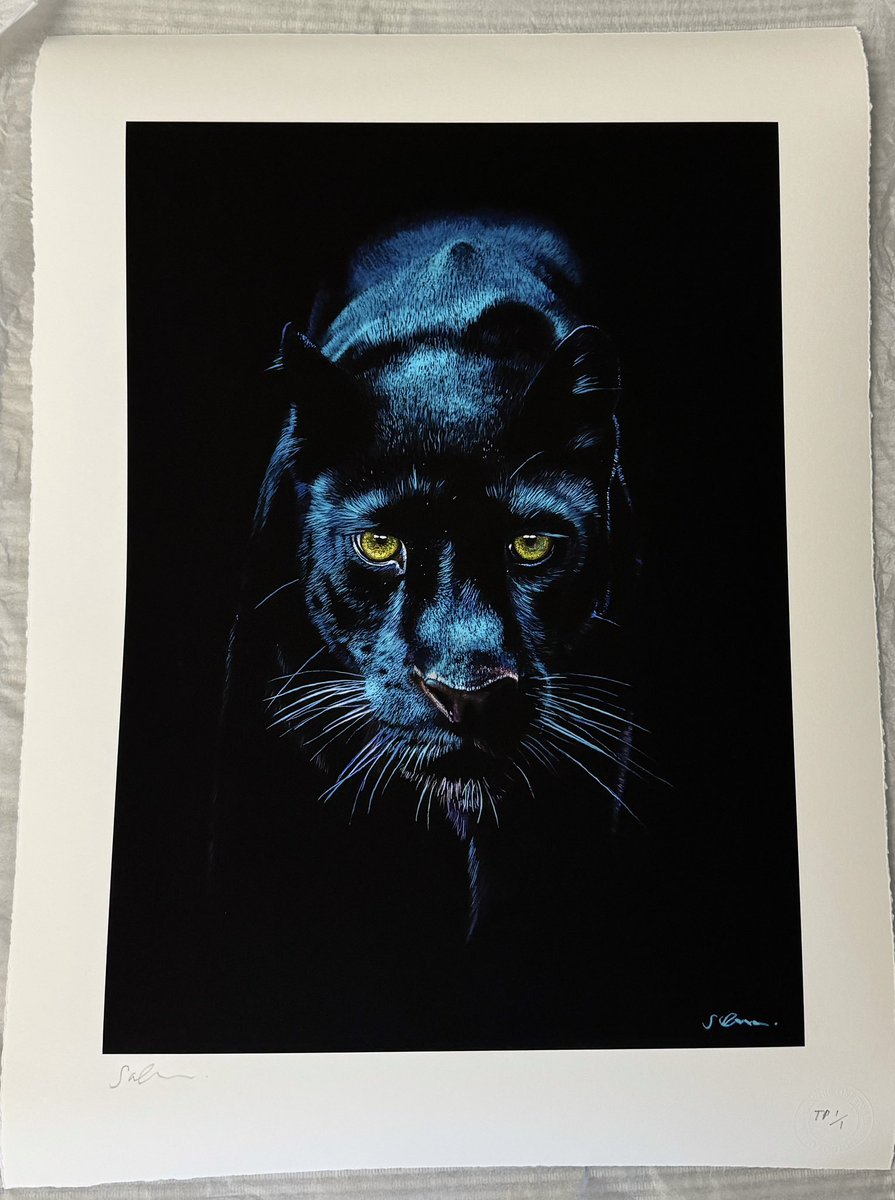 sophiegreenart's tweet image. I also have this one of a kind test proof print of my newest panther piece. 16x22”, £320. 

Please email enquiries@sophiegreenfineart.com if interested in purchasing.