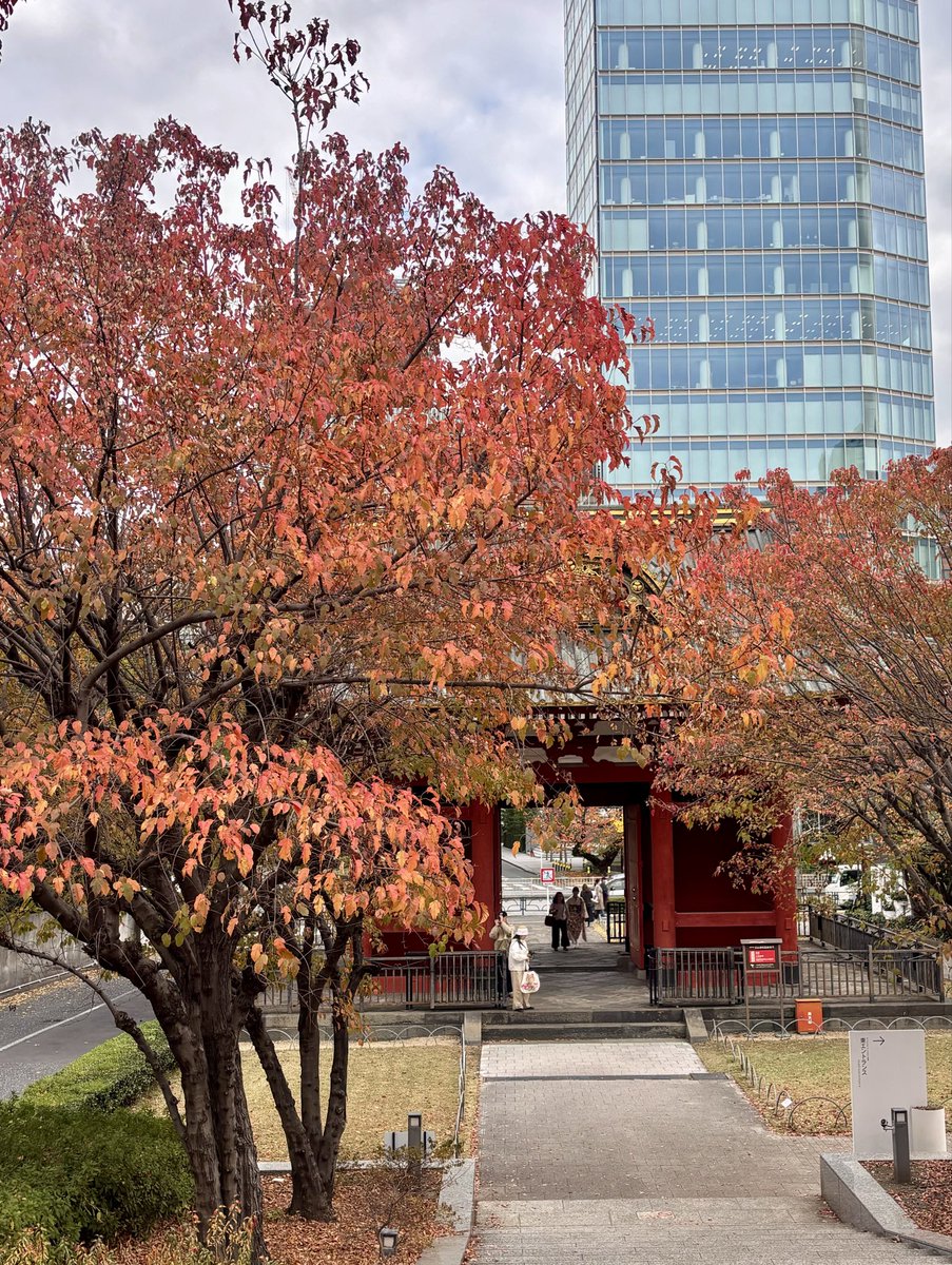 E6%9D%B1%E4%BA%AC%E6%95%A3%E7%AD%96