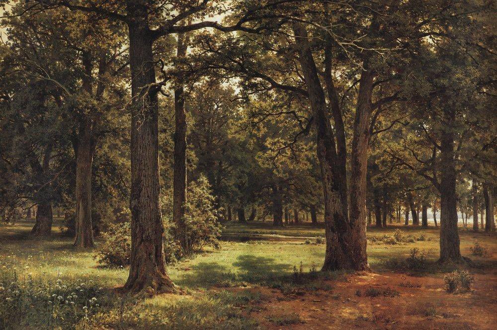 SeekAfterBeauty's tweet image. In the Protected Oak Grove of Peter the Great in Sestroretsk (1886), by Ivan Shishkin