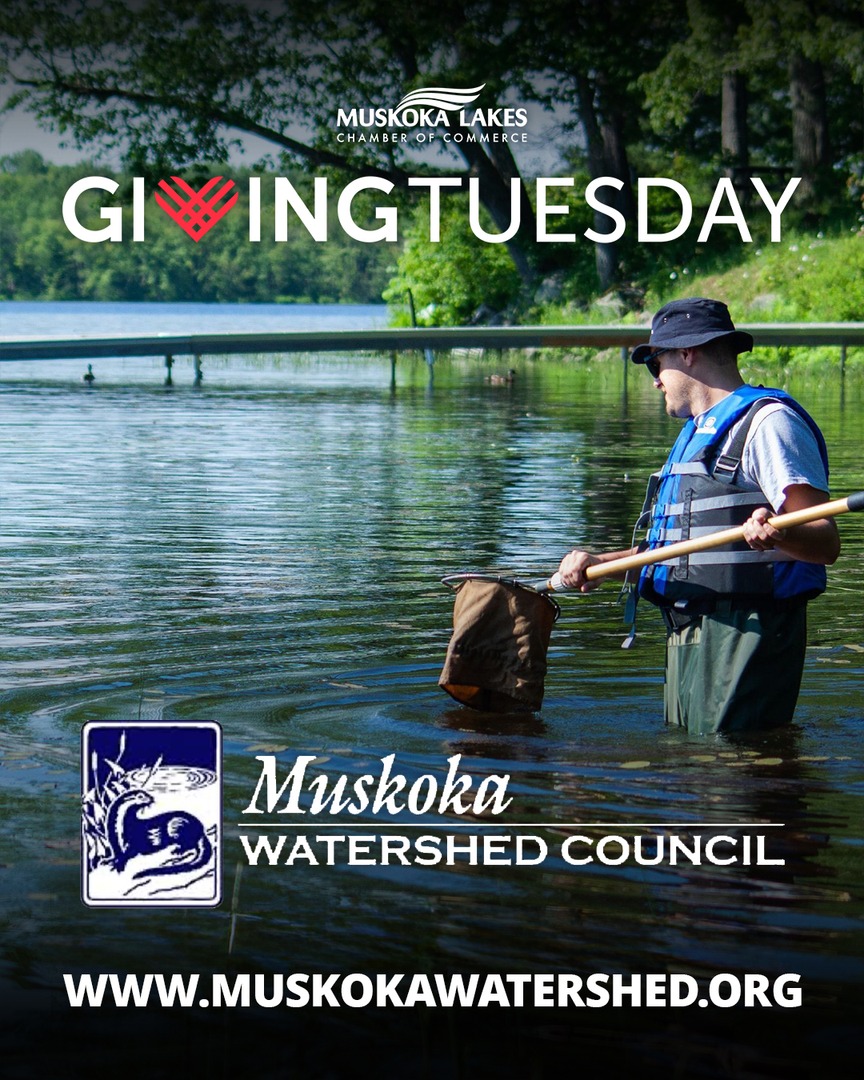 Help support Muskoka Watershed Council's research and initiatives that safeguard Muskoka’s lakes and waterways. Clean water, healthy future. Donate here: muskokawatershed.org