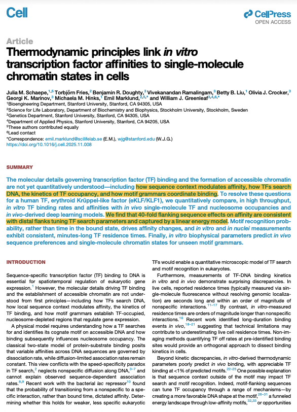 NikoMcCarty's tweet image. The model of gene expression taught in school is highly misleading!

Transcription factors are proteins that bind to DNA and then help repress, or activate, the expression of genes. Cells have hundreds of different types of transcription factors, each tuned to regulate different…