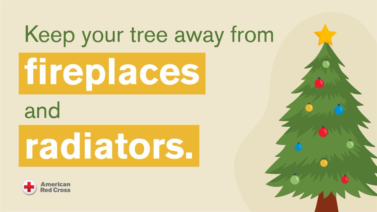 Don’t forget to always keep your real tree watered to help prevent the tree from drying out and potentially causing a fire.