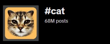 ofthegoldenland's tweet photo. High potential from all these tokens lying around. Still at 15k within the narrative.

$TIKTOK gains -> buy $CAT ?

$CAT

CA: BxBmLazgUME6ah27Yjy44JgqUMZSzinUWrEiab2tpump        

#cat #mew #mask #nub #tiktok #cwh #glob #popcat #meow #purr #maneko #longcat #catjam #mog #aura #cate #roar #michi #mochi #sc #suncat #boba #ginnan #mini #nyan #waffles #catcoin #tiktok #davince #billy #buttcoin #bullish #kabuto #sachi #fuckcoin #sexcoin