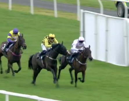 JoeSeward1's tweet photo. 8% kept faith with the
reigning Champion Hurdler GOLDEN ACE
@williams_lorcan
@holworthyfarm
@NewcastleRaces
#GoldenAce
#ConstitutionHill
#ITVRacing https://t.co/oipaYaJAos