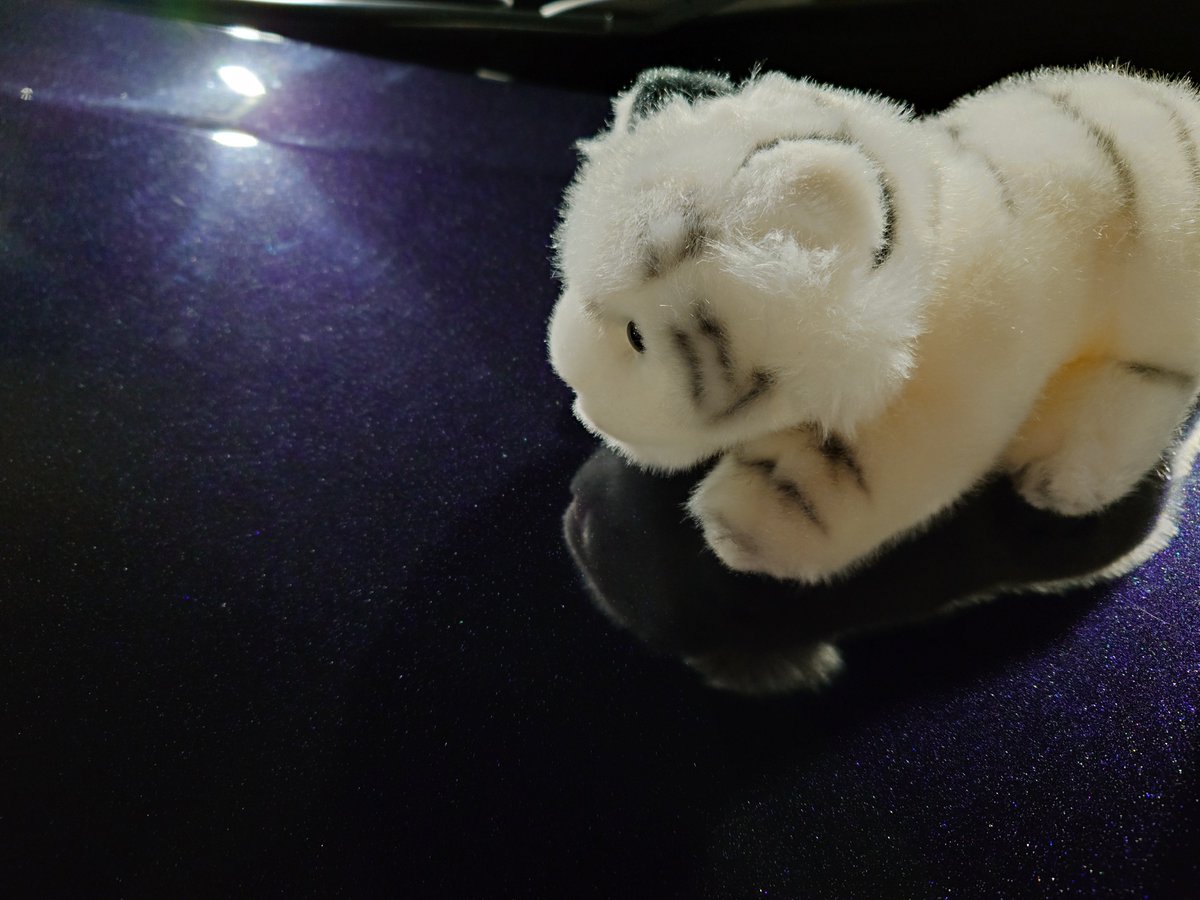 洗車した
きれいになった
とても寒い