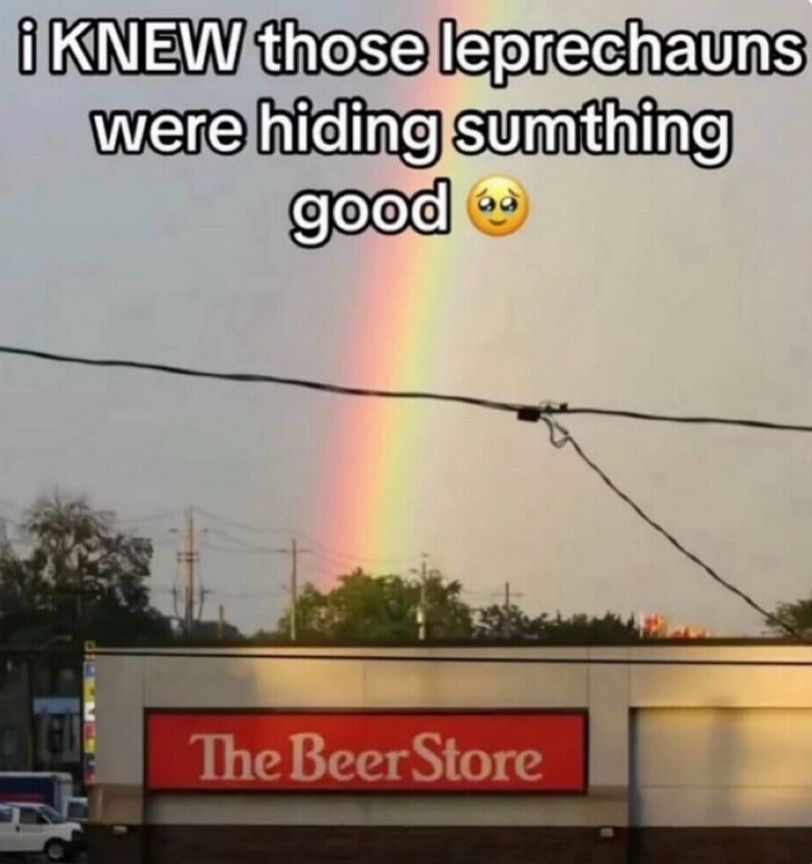 dinosaur (@dinosaurs1969) on Twitter photo 