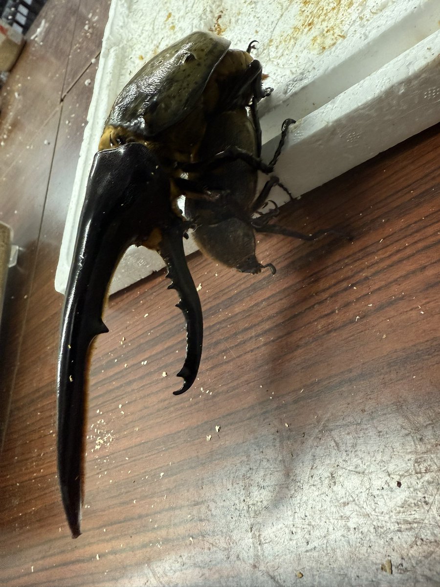 110-64-5 msds【110634.com】.cdj