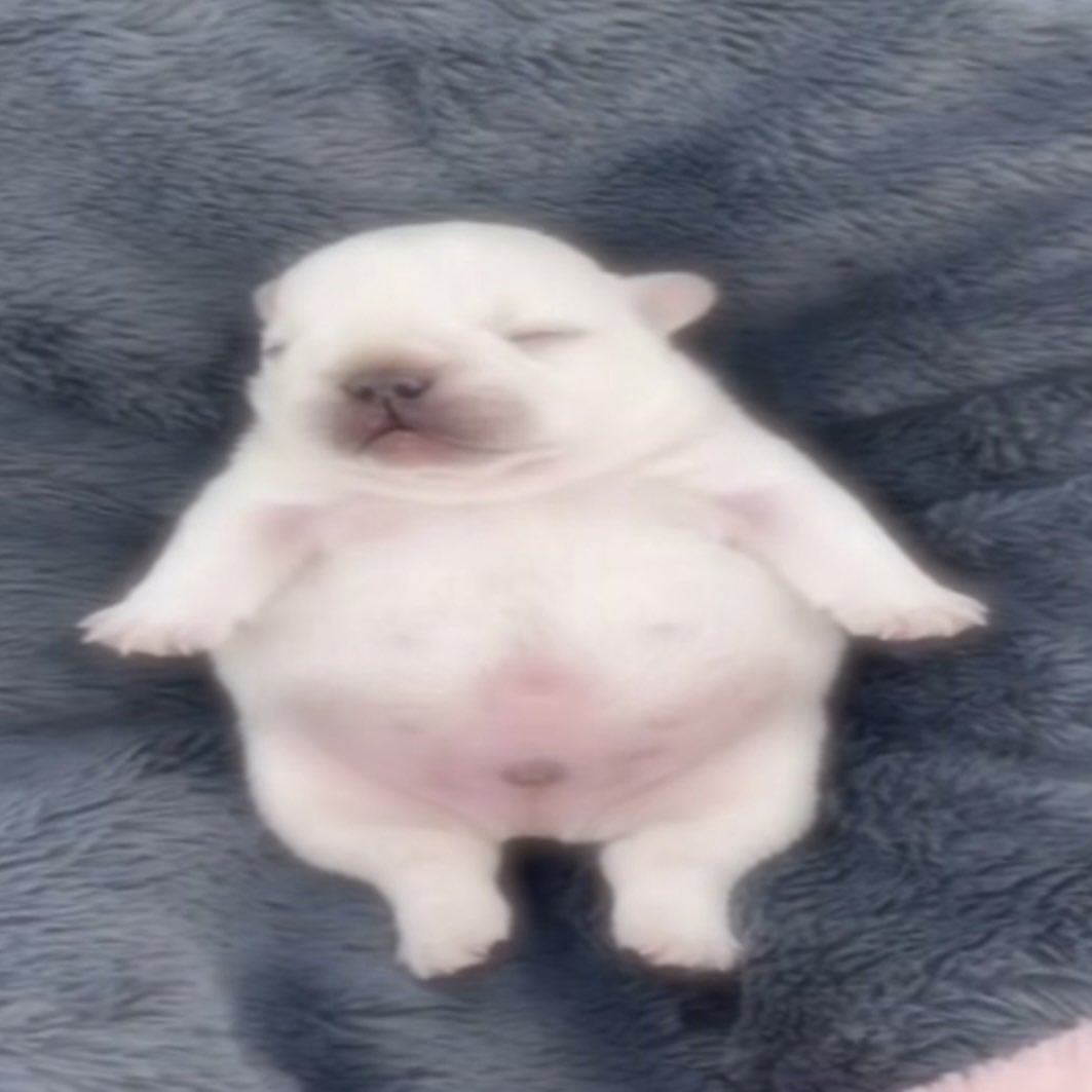 Launched a silly coin on <a href="/blastdotfun/">blast</a> 
Holy Pulp $HP