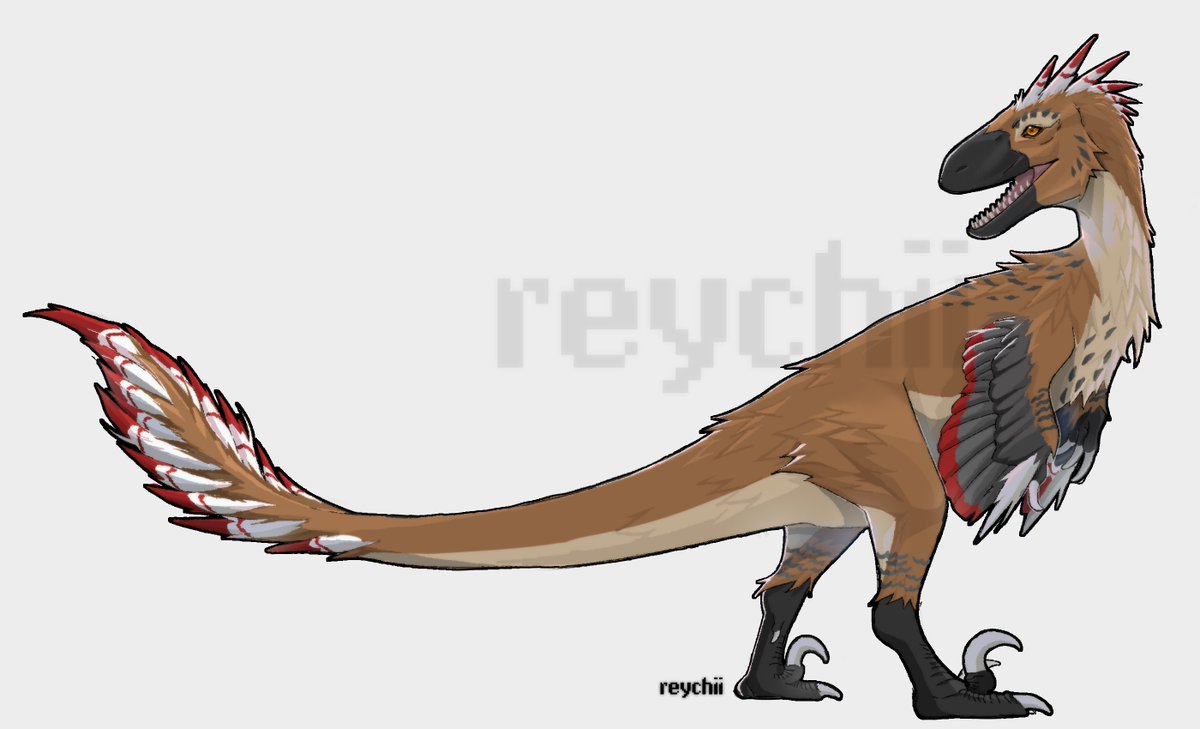 rey 𐂯 tweet media