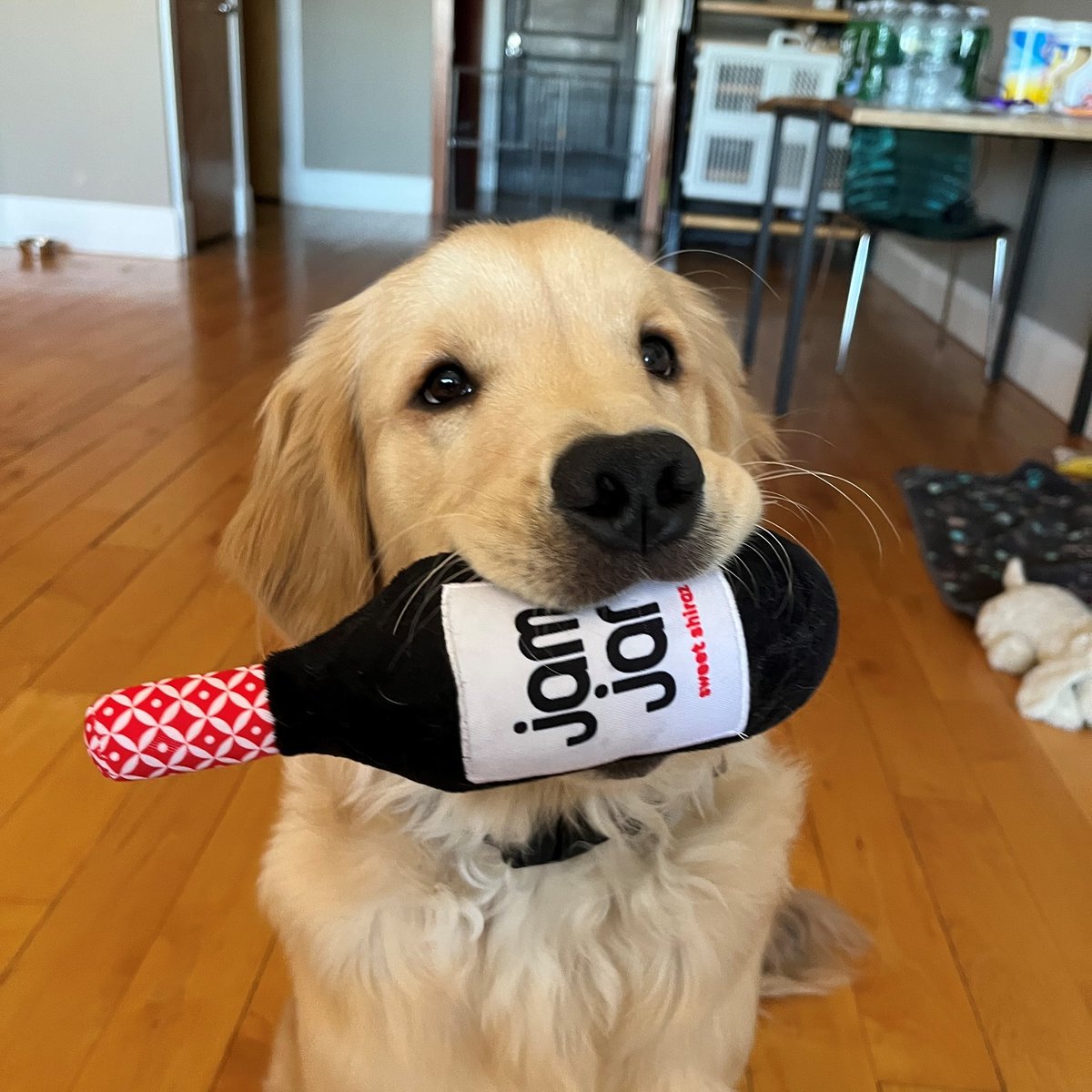 Jam Jar Wines tweet media