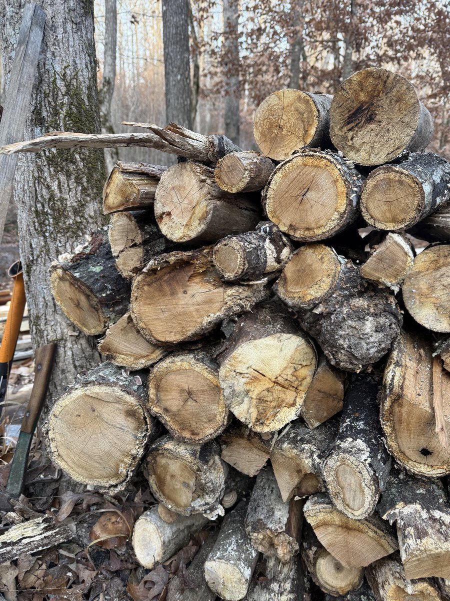 Aaron Loring Davis tweet media