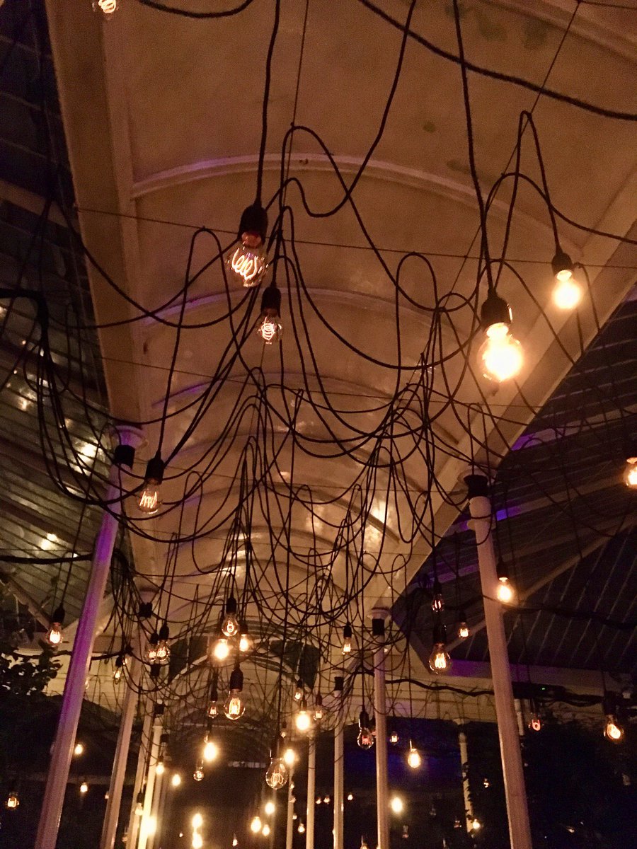 FloralRainbowAW's tweet image. For #WeekVForVowels #AlphabetChallenge 
I = Illumination 💡