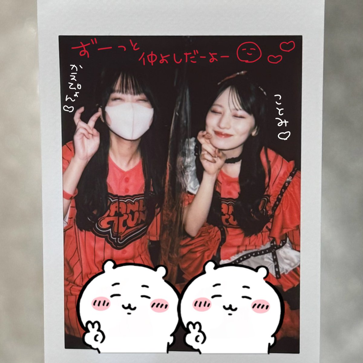 かえぴょん🐇🌹 (@s2kaepyons2) / Posts / X